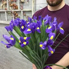Букет из 25 ирисов — купить с доставкой в Сыктывкаре