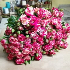 35 кустовых роз — купить с доставкой в Сыктывкаре
