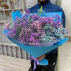 9 гипсофил — купить с доставкой в Сыктывкаре