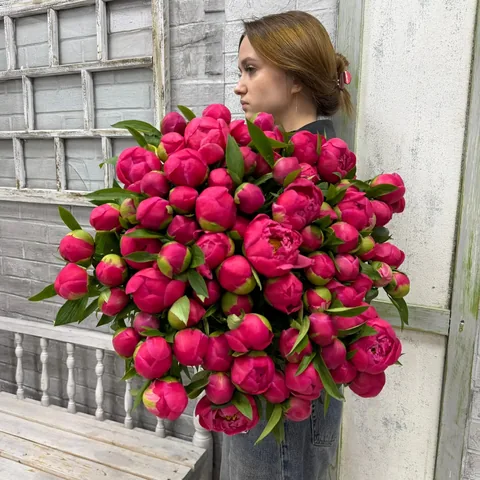 Пион Корал Шарм, 1 шт.