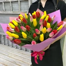 51 тюльпан — купить с доставкой в Сыктывкаре